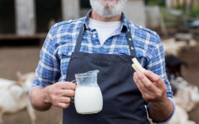 Pourquoi choisir nos produits laitiers pour les marchés ?